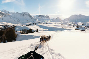 Dog sledding – Hors Traces